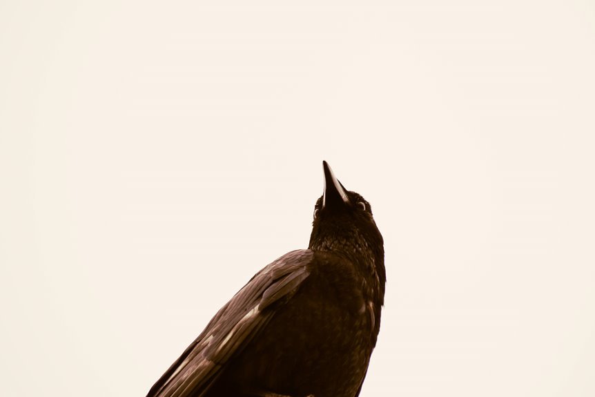 commercial impact intelligence study